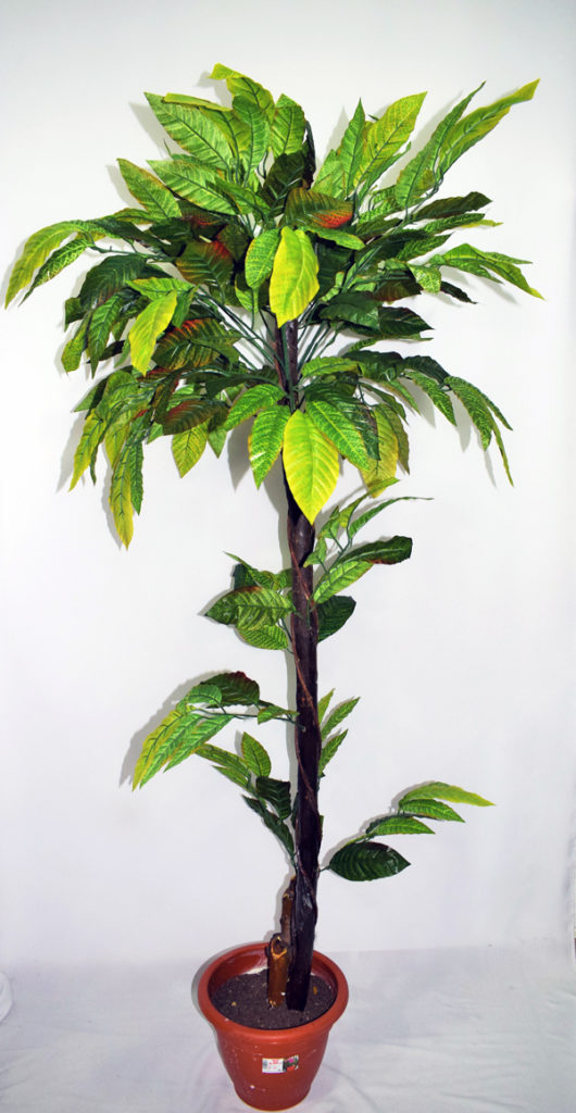 A102