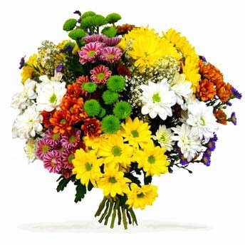 Ramo de flores variadas 23